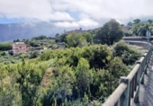 Non-developable land for sale on España, La Orotava, ref: TR170533 photo
