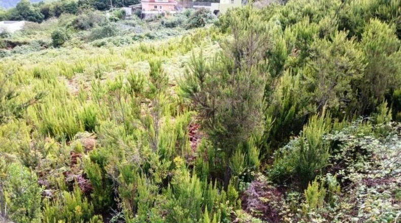 Santa Cruz de Tenerife - La Orotava - 3222m2