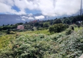 Non-developable land for sale on España, La Orotava, ref: TR170533 photo