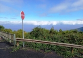 Non-developable land for sale on España, La Orotava, ref: TR170533 photo