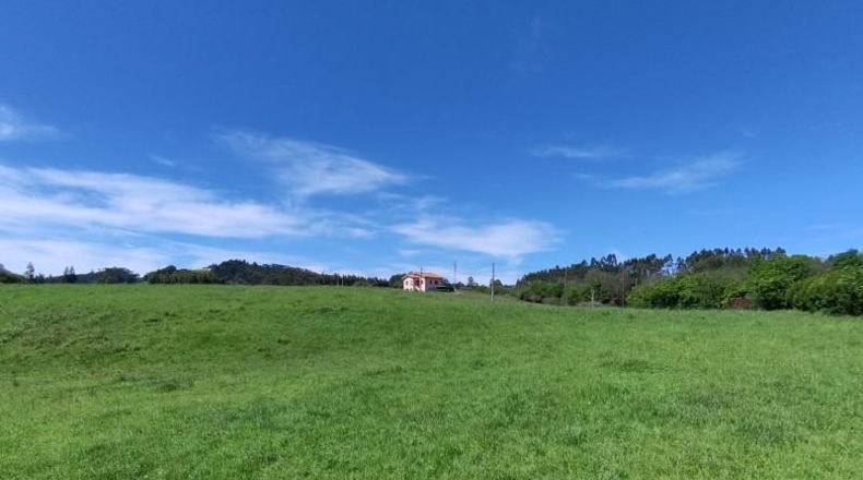 Asturias - Gijón - 6015m2