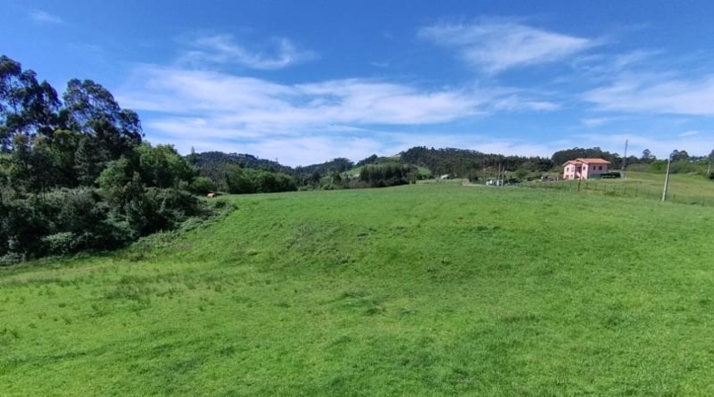 Asturias - Gijón - 6015m2