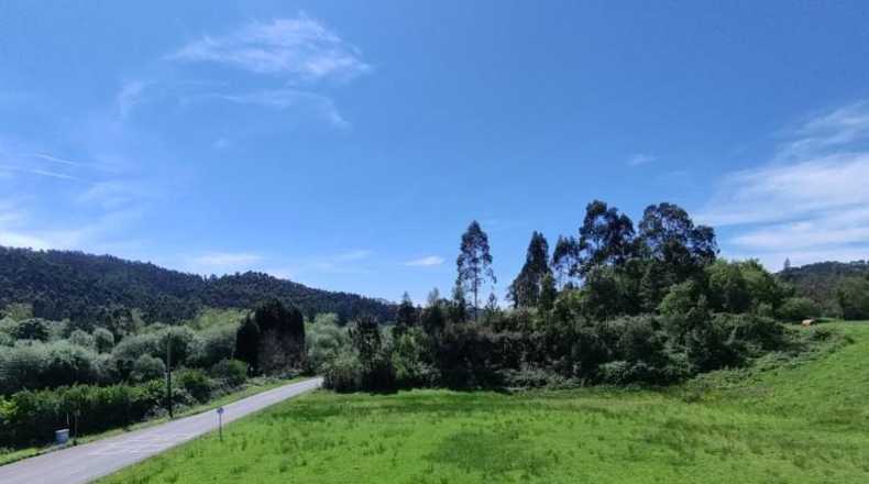 Asturias - Gijón - 6015m2
