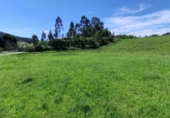 Land suitable for development for sale on España, Gijón, ref: TR181602 photo