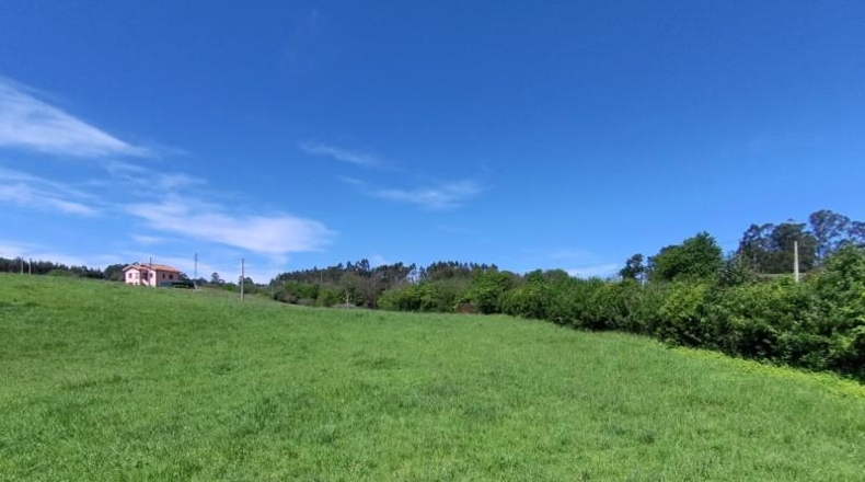 Asturias - Gijón - 6015m2