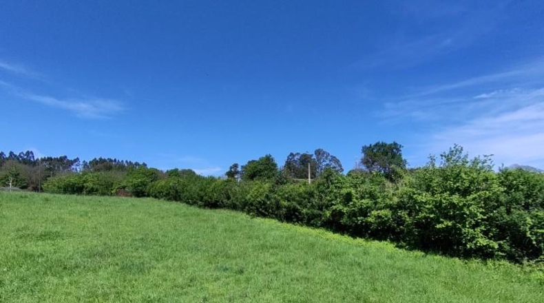 Asturias - Gijón - 6015m2
