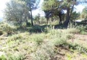 Land suitable for development for sale on España, Castellnou de Bages, ref: TR192189 photo