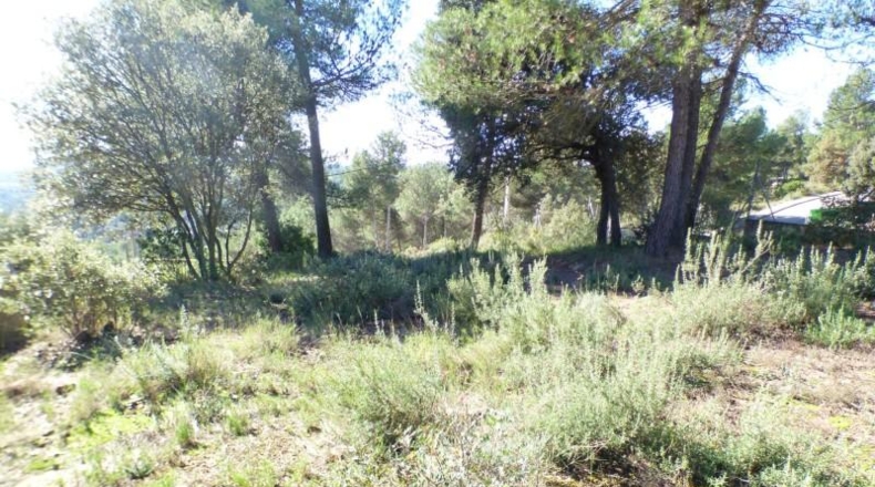 Barcelona - Castellnou de Bages - 854m2