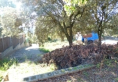 Land suitable for development for sale on España, Castellnou de Bages, ref: TR192189 photo