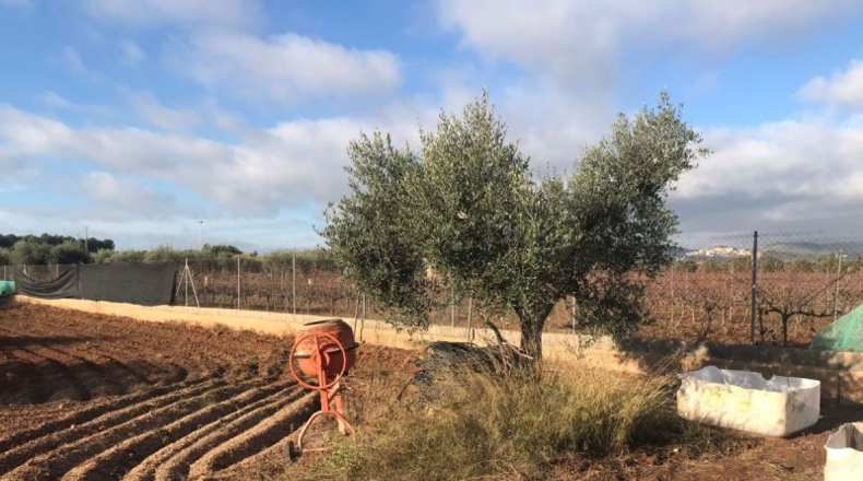 Tarragona - el Vendrell - 3000m2