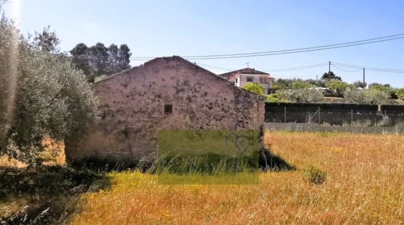 València - Onteniente - 16126m2