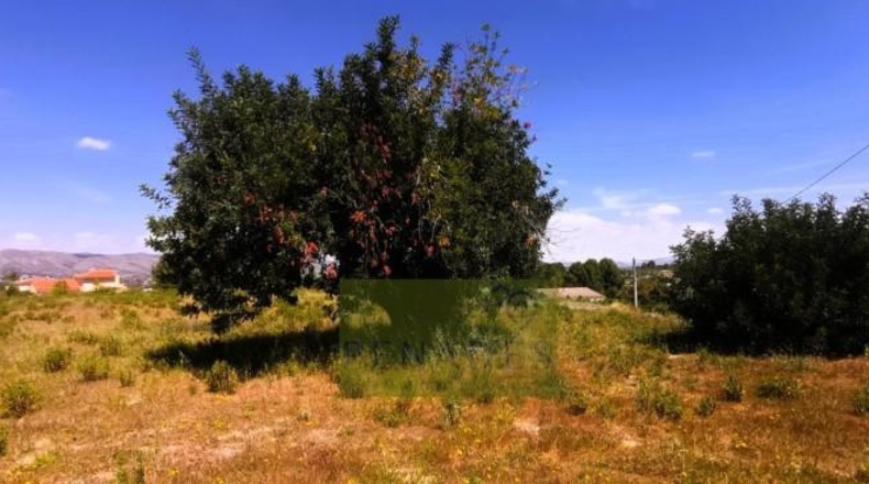 València - Onteniente - 16126m2