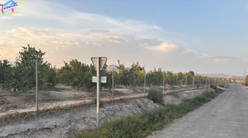 Murcia - Villanueva del Río Segura - 2095m2