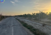Non-developable land for sale on España, Villanueva del Río Segura, ref: TR239718 photo