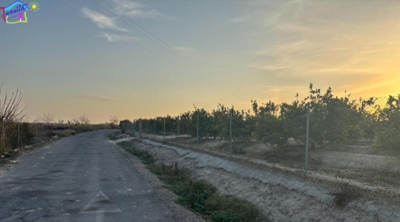 Murcia - Villanueva del Río Segura - 2095m2