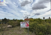 Non-developable land for sale on España, Villanueva del Río Segura, ref: TR239718 photo