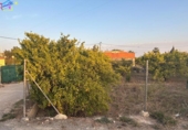 Non-developable land for sale on España, Villanueva del Río Segura, ref: TR239718 photo