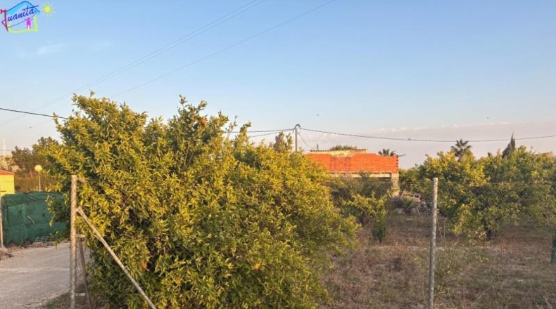 Murcia - Villanueva del Río Segura - 2095m2