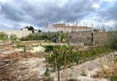 Parcel·la urbanitzable en venda a la España, Moriles, ref.: TR242866 foto