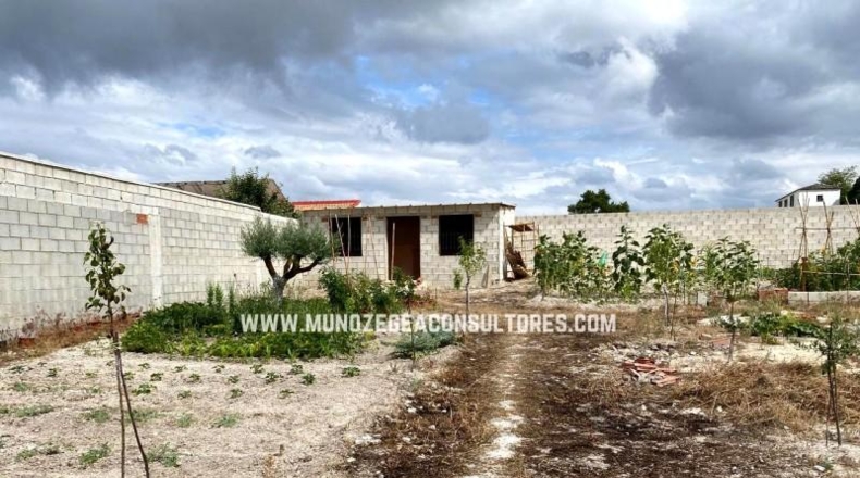 Córdoba - Moriles - 700m2