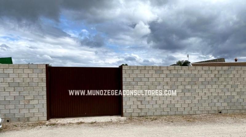 Córdoba - Moriles - 700m2