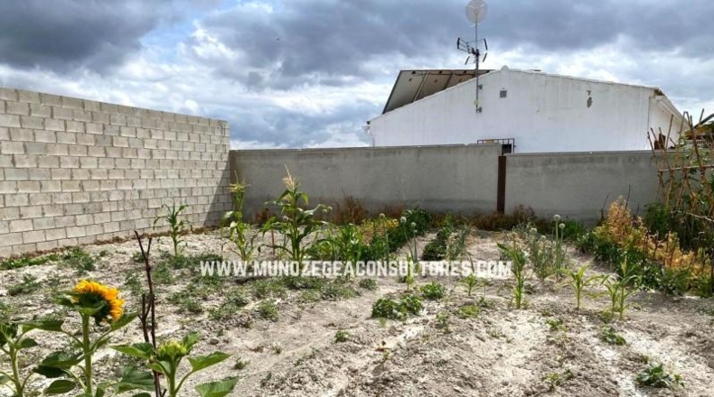 Córdoba - Moriles - 700m2