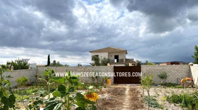 Córdoba - Moriles - 700m2