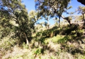 Urban land for sale on España, Galaroza, ref: TR198755 photo