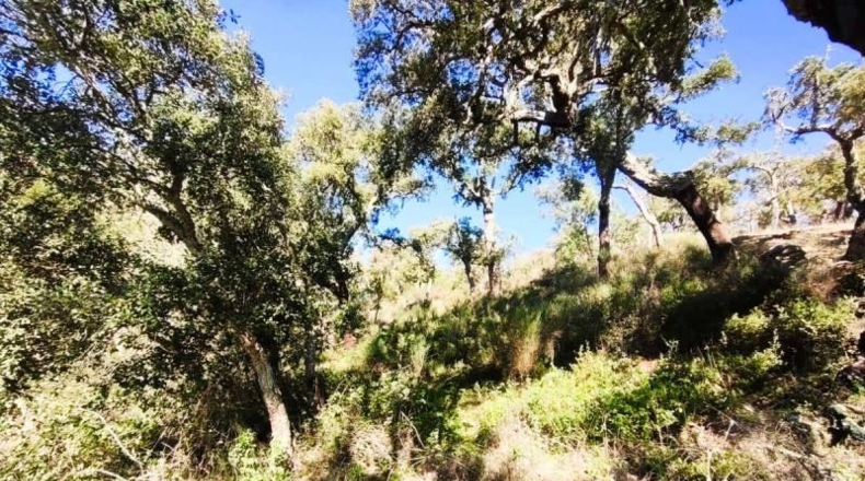 Huelva - Galaroza - 101m2