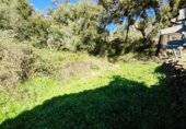 Urban land for sale on España, Galaroza, ref: TR198755 photo