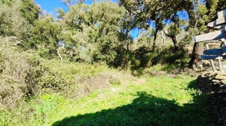 Huelva - Galaroza - 101m2