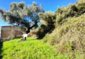 Urban land for sale on España, Galaroza, ref: TR198755 photo