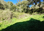 Urban land for sale on España, Galaroza, ref: TR198755 photo