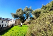 Urban land for sale on España, Galaroza, ref: TR198755 photo