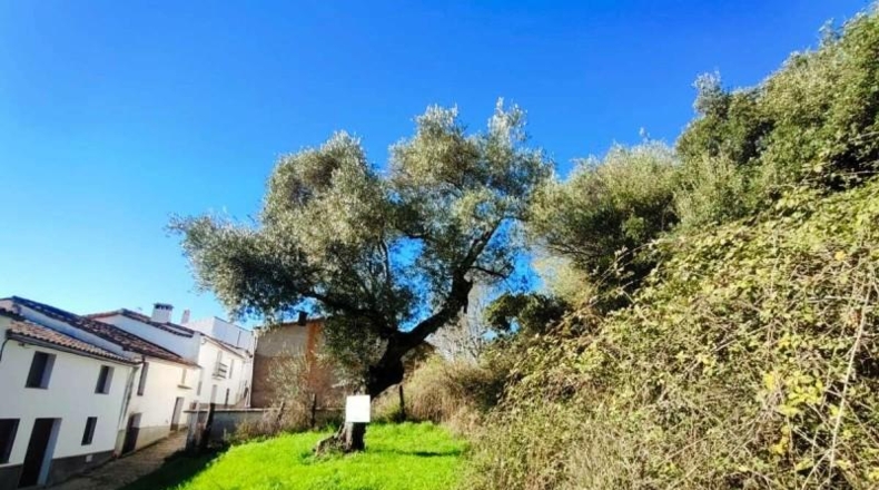 Huelva - Galaroza - 101m2