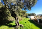 Urban land for sale on España, Galaroza, ref: TR198755 photo