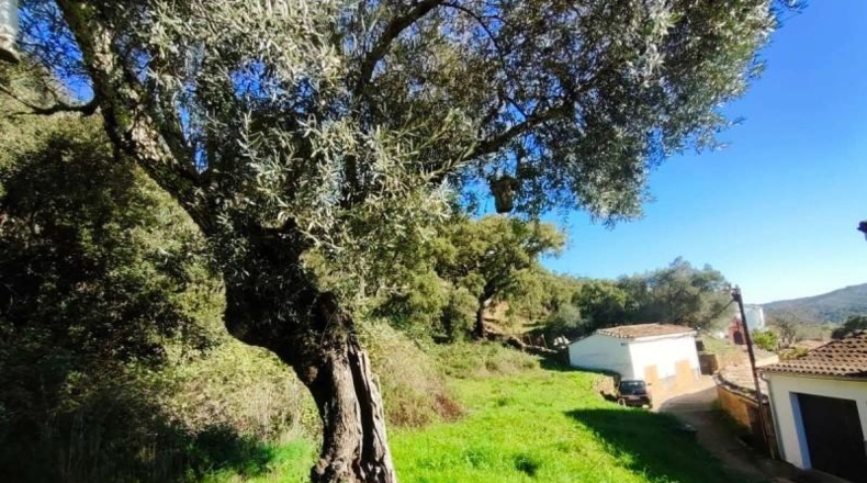 Huelva - Galaroza - 101m2