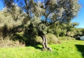 Urban land for sale on España, Galaroza, ref: TR198755 photo