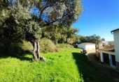 Urban land for sale on España, Galaroza, ref: TR198755 photo