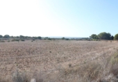 Terreno no urbanizable en venta en la España, Elche, ref: TR218667 foto