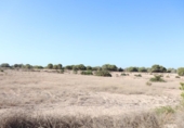 Terreno no urbanizable en venta en la España, Elche, ref: TR218667 foto
