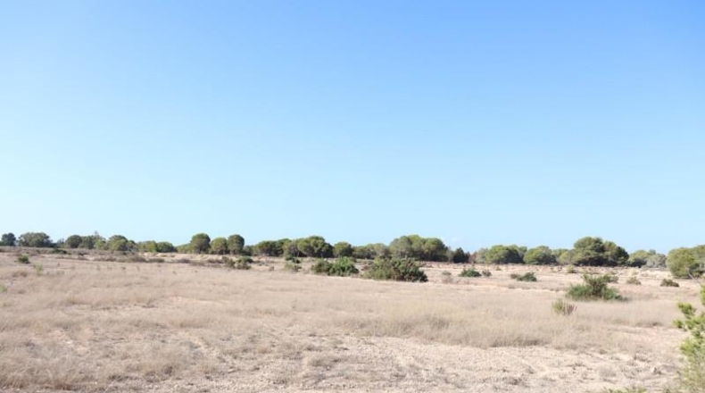 Alicante - Elx - 10m2