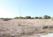 Terreno no urbanizable en venta en la España, Elche, ref: TR218667 foto