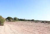 Terreno no urbanizable en venta en la España, Elche, ref: TR218667 foto
