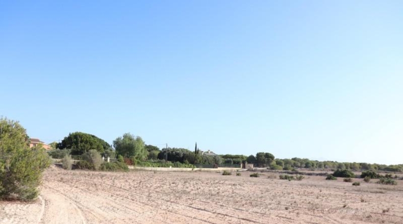 Alicante - Elx - 10m2