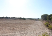 Terreno no urbanizable en venta en la España, Elche, ref: TR218667 foto