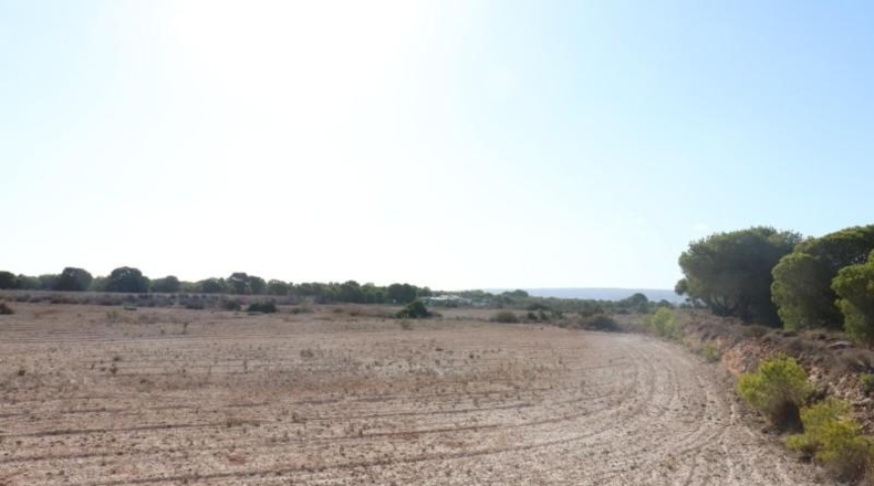 Alicante - Elx - 10m2
