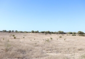 Terreno no urbanizable en venta en la España, Elche, ref: TR218667 foto