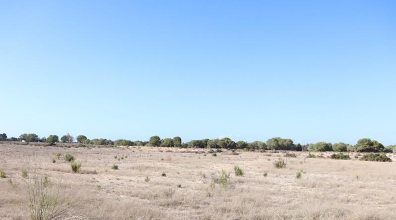 Alicante - Elx - 10m2