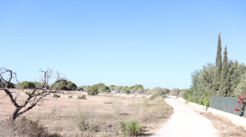 Alicante - Elx - 10m2